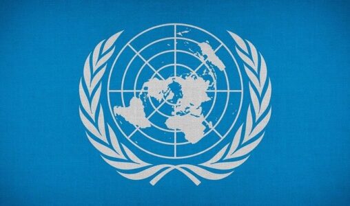 The United Nations is Looking for an Enterprise Data Catalog